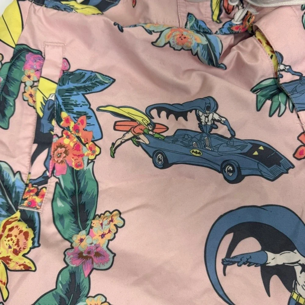 Batman robin surf